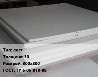 Фторопласт плита лист s=30 300х300 ТУ 6-05-810-88